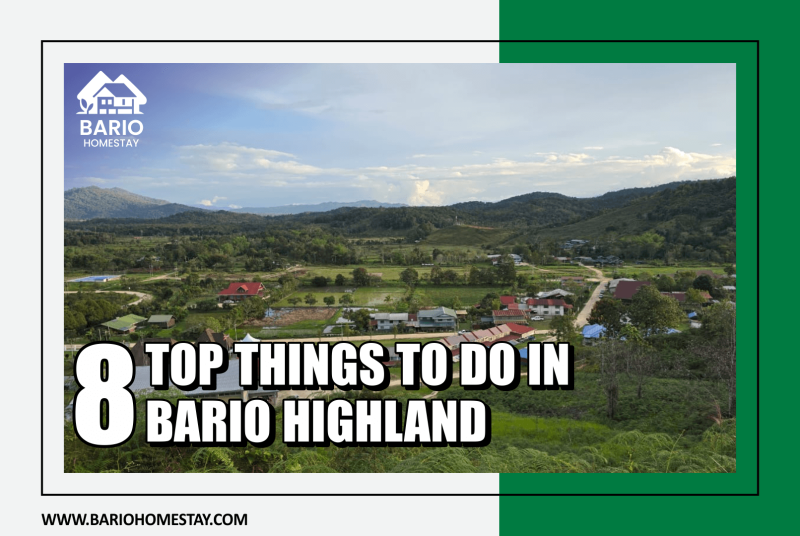 8 Top Things to Do in Bario Highland