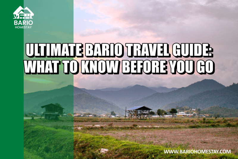 Ultimate Bario Travel Guide: What to Know Before You Go